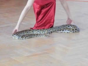 DSCN6816