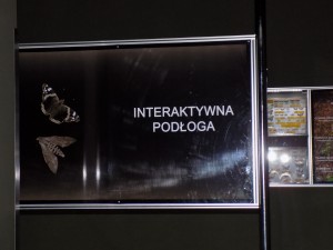DSCN7814