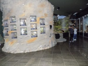 DSCN7827